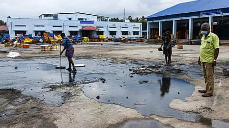 News image