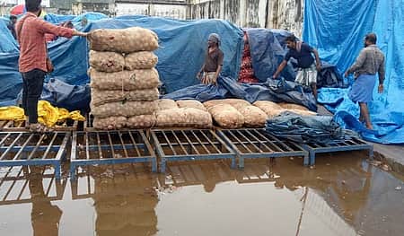 News image