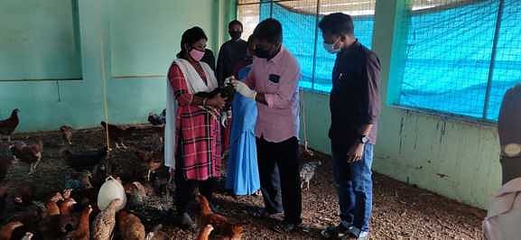 பறவைக் காய்ச்சல்: கோழிப் பண்ணையில் கால்டை மருத்துவா் ஆய்வு