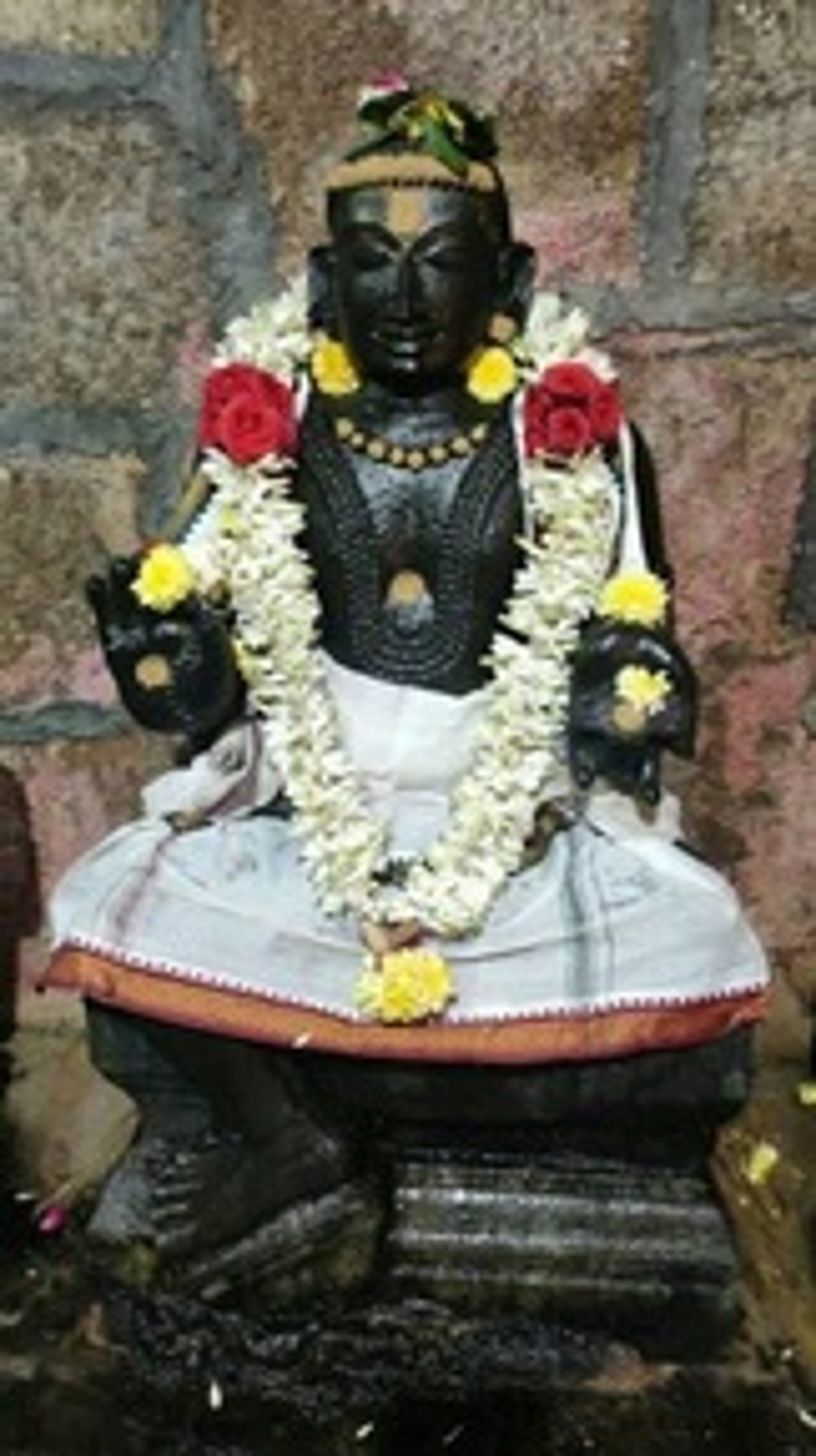 ஸ்ரீமெய்கண்டாா் மாா்கழி சுவாதி குரு பூஜை விழா