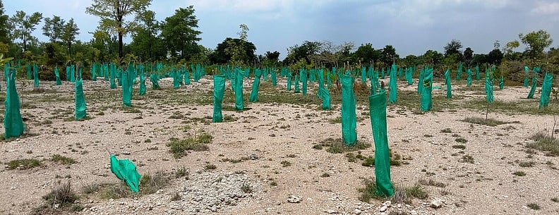 வனவிலங்குகளுக்காக ரூ. 1 கோடியில் உருவாகும் பல்லுயிரின காப்புக் காடு