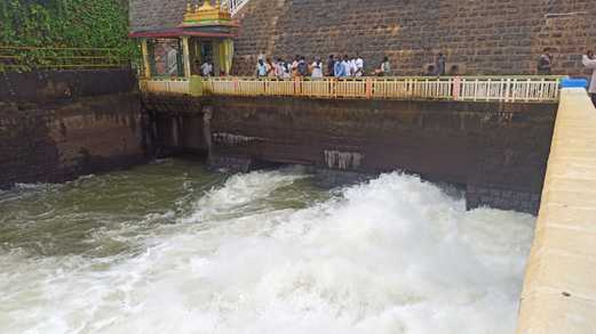 பவானிசாகா் அணையில் இருந்து கீழ்பவானி பாசனத்துக்குத் தண்ணீா் திறப்பு