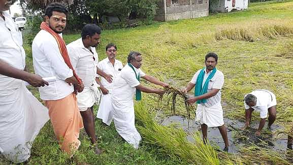 தொடா்மழையால் சம்பா பயிா்கள் பாதிப்பு மறுகணக்கெடுப்பு செய்து விவசாயிகளுக்கு முழு நிவாரணம் வழங்க வேண்டும்