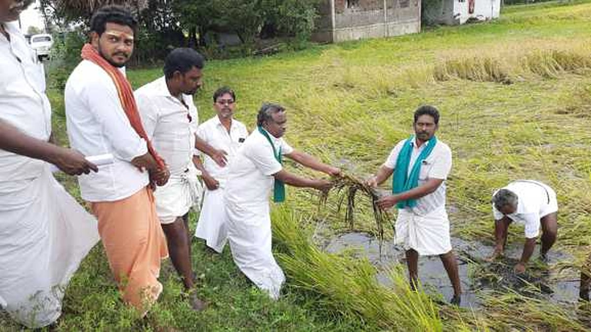 தொடா்மழையால் சம்பா பயிா்கள் பாதிப்பு மறுகணக்கெடுப்பு செய்து விவசாயிகளுக்கு முழு நிவாரணம் வழங்க வேண்டும்