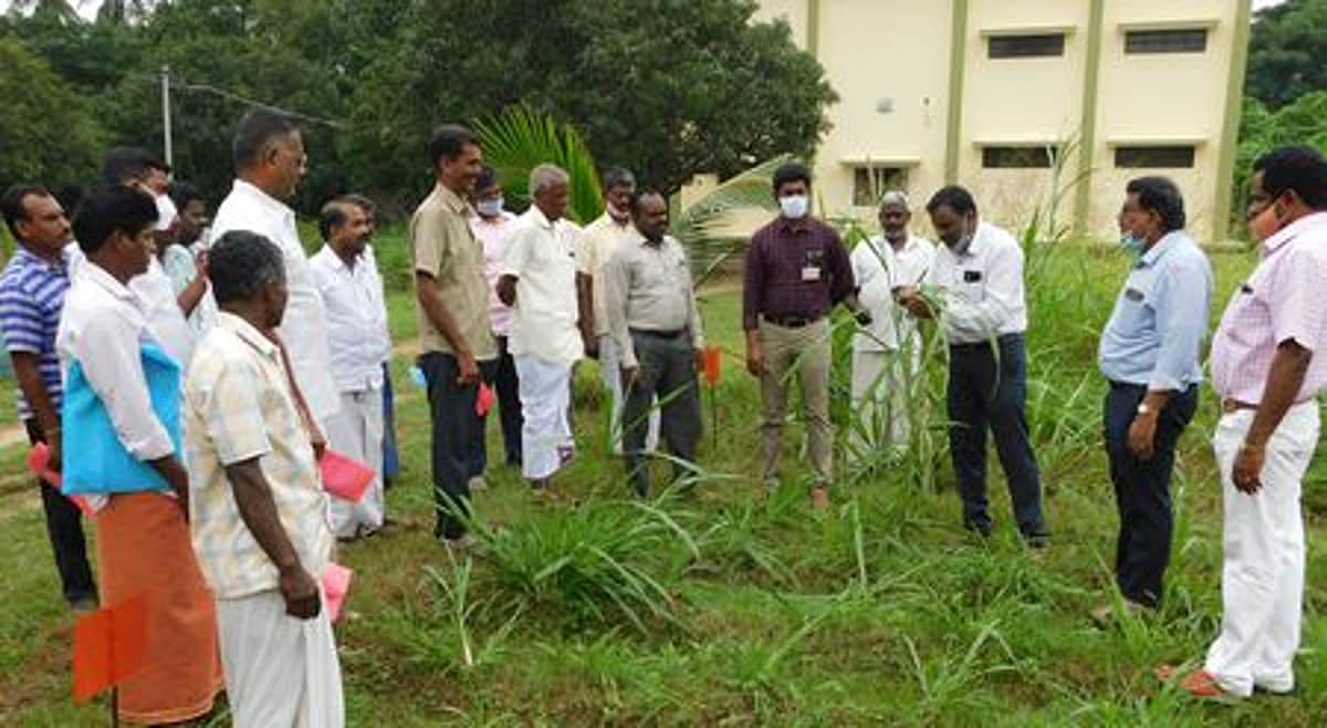 News image