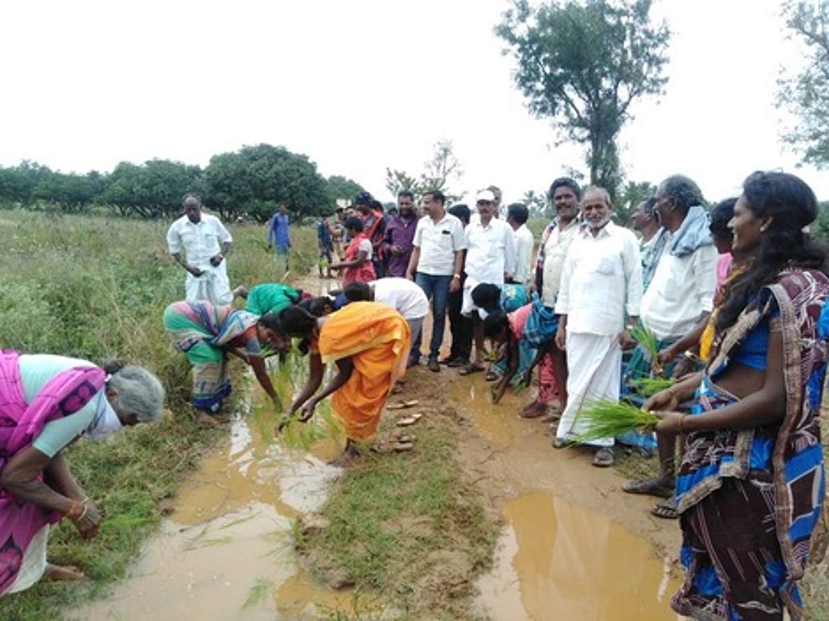 News image