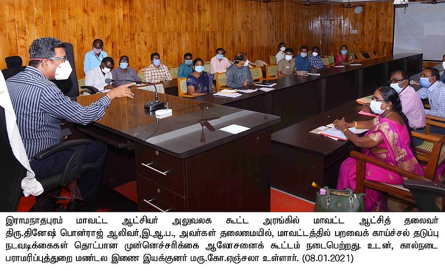 News image