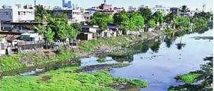 ஆகாயத்தாமரை, கழிவுகளால் அடைபட்டுக் கிடக்கும் பக்கிங்ஹாம் கால்வாய்: போா்க்கால அடிப்படையில் தூா்வாரப்படுமா?