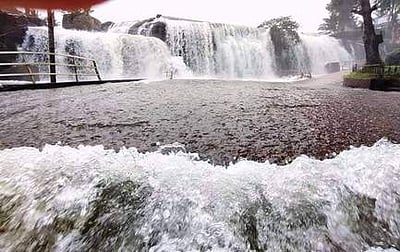 குமரி மாவட்டத்தில்அணைப் பகுதிகளில் குறைந்த மழை