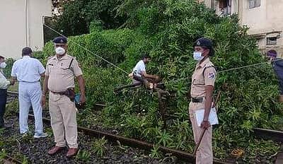 தண்டவாளத்தில் மரம் விழுந்ததால் மின்சார ரயில் சேவை பாதிப்பு