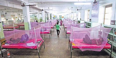 தில்லியில் கடந்த 10 நாள்களில் 139 பேருக்கு டெங்கு பாதிப்பு