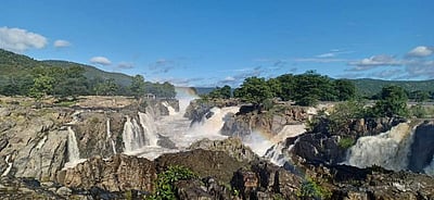 நீர்ப்பிடிப்பு பகுதிகளில் தொடர்ந்து மழை: செந்நிறமாக மாறிய காவிரி