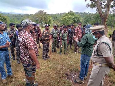 தேடப்பட்டு வந்த புலியை உயிருடன் பிடித்த வனத்துறை