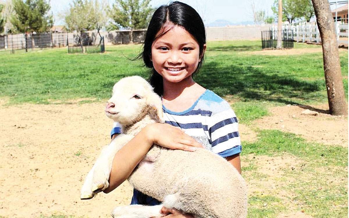 வாழ்த்துக்குரிய குட்டி!