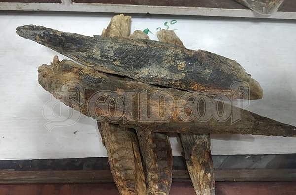 மனங்கவரும் கீழக்கரை மாசிக் கருவாடு!