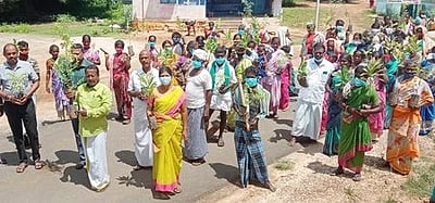 அப்துல்கலாம் பிறந்த நாளில் மரக்கன்றுகள் நடவு