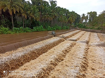 நீர்ப்பிடிப்பு பகுதிகளில் தொடரும் கனமழை: நொய்யலில் வெள்ளப்பெருக்கு