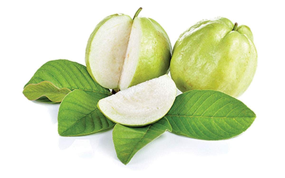 கொய்யாப் பழத்தின் நன்மைகள்!