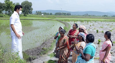 வயலில் இறங்கி குறைகளைக் கேட்ட முதல்வர் மு.க.ஸ்டாலின்