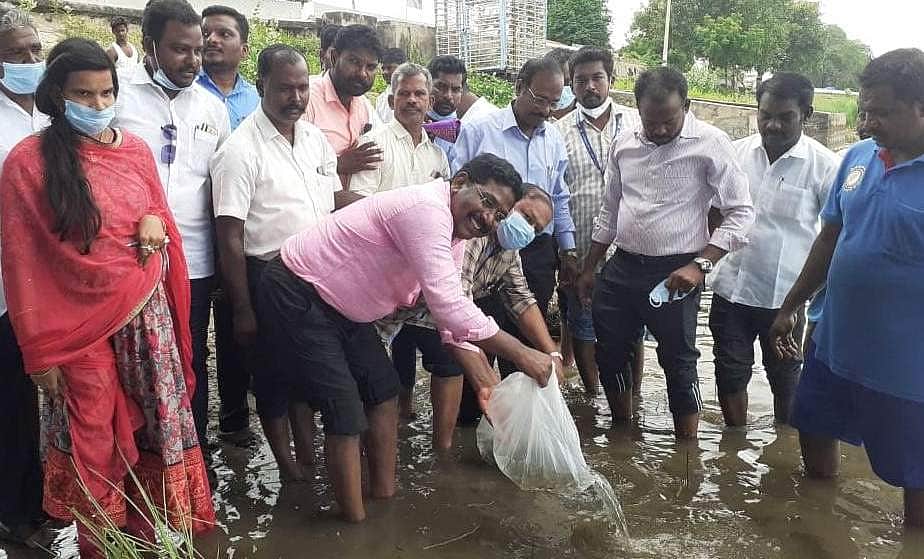 News image