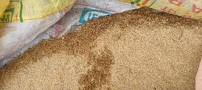 நெல் கொள்முதலில் இணையவழி முன்பதிவு முறையைக் கண்டித்து தஞ்சாவூா் மாவட்டத்தில் விவசாயிகள் போராட்டம்