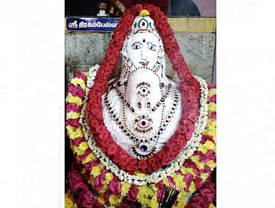 சங்ககிரி மேற்கு அருள்மிகு திரகம்பேஸ்வரர் சுவாமிக்கு அன்னாபிஷேகம் 