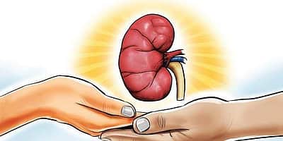 மருத்துவ வரலாற்றில் சாதனை; மனிதனுக்கு பொருத்தப்பட்ட பன்றியின் சிறுநீரகம்