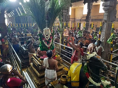 கோவில்பட்டி செண்பகவல்லி அம்மன் கோயில் திருக்கல்யாணத் திருவிழா: கொடியேற்றத்துடன் தொடக்கம்