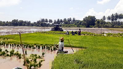 காரைக்காலில் 5 ஆயிரம் ஹெக்டேரில் சம்பா, தாளடி பணிகள் தீவிரம்