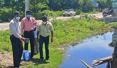 டெங்கு கொசு புழுக்களை அழிக்க நீா்நிலைகளில் கம்பூசியா மீன்கள்