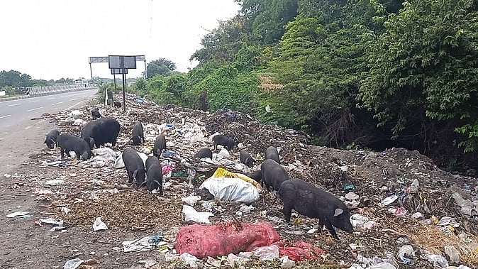 ராமநத்தம் ஊராட்சியில் சுகாதாரச் சீா்கேடு