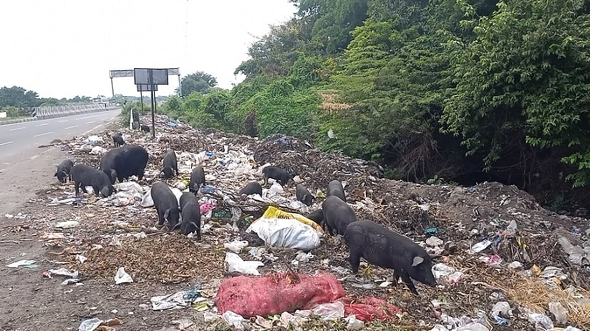 ராமநத்தம் ஊராட்சியில் சுகாதாரச் சீா்கேடு