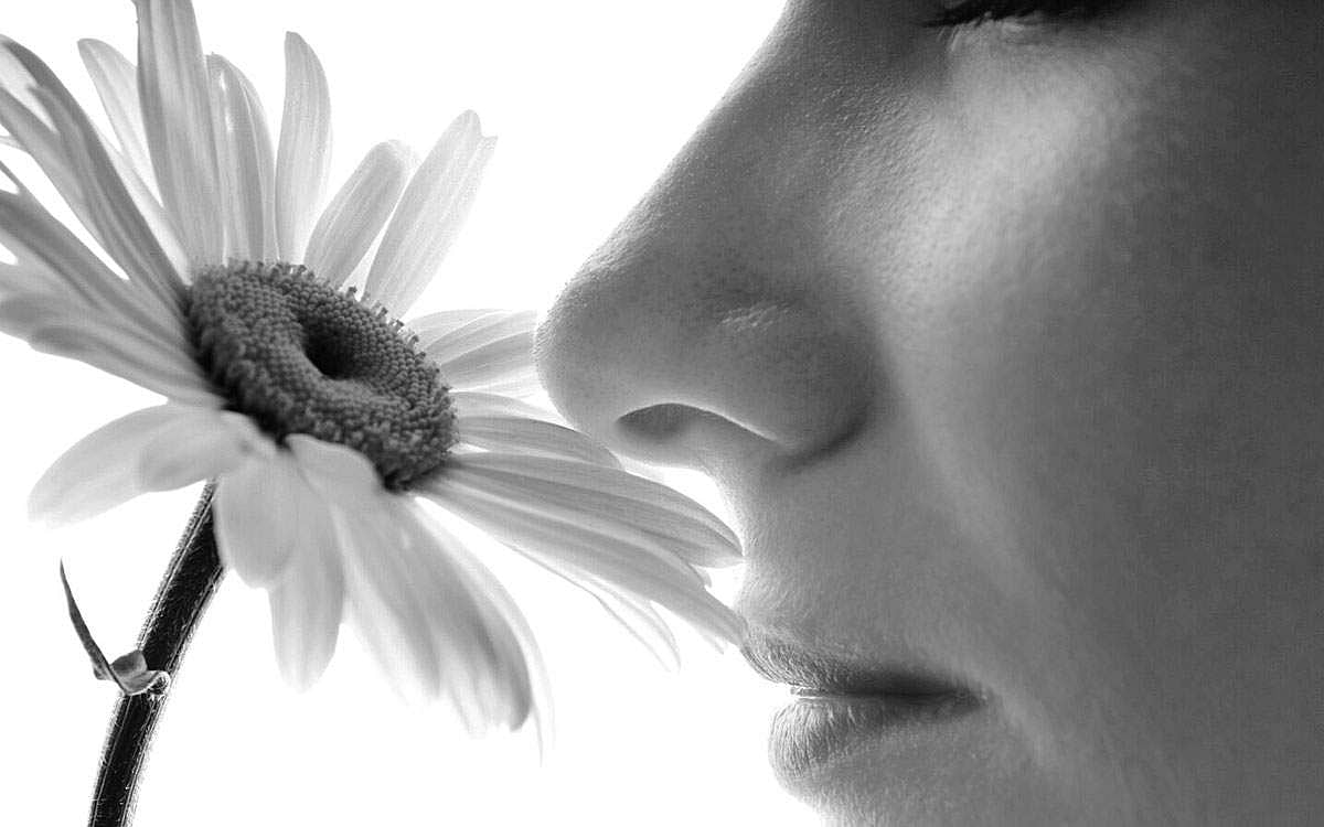 நினைவுகளைத் தூண்டும் நறுமணம்!