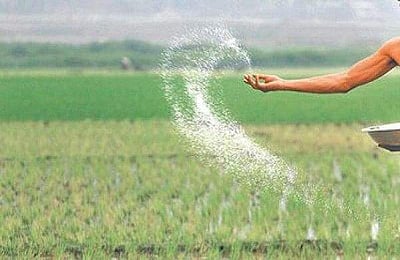 தமிழகத்துக்கு 90,000 மெட்ரிக் டன் யூரியா ஒதுக்கீடு