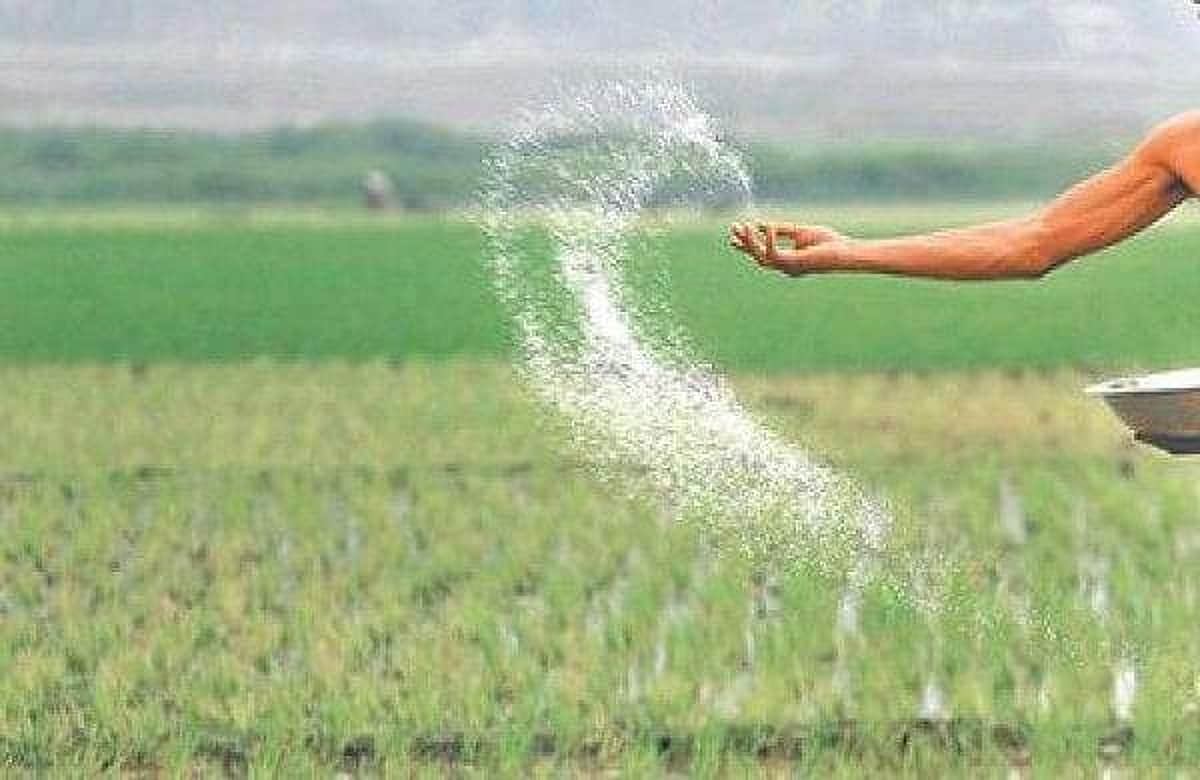 மாற்றித்தான் யோசிப்போமே... | மானிய உரங்கள் கிடைக்க நடவடிக்கை குறித்த தலையங்கம்