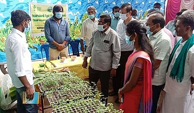 தோட்டக்கலைத் துறை சாா்பில் கண்காட்சி