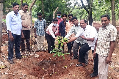 பருவமழையை வரவேற்று மரக்கன்றுகள் நடவு