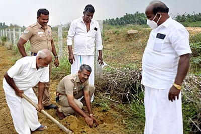 சுப்பராயபுரம் ஊராட்சியில் 5,000 பனை விதைகள் விதைப்பு