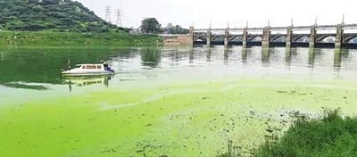 மேட்டூா் அணையில் நுண்ணுயிரிக் கலவை தெளிப்பு