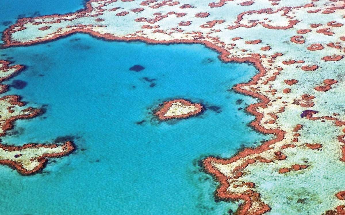 நிறம் இழக்கும் பவளப்பாறைகள்!