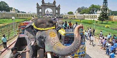 மைசூரு தசரா கொண்டாட்டம்: கலைஞர்களுக்கு  நிபந்தனைகள் என்னென்ன?