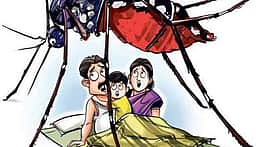 தில்லியில் 199 பேருக்கு டெங்கு பாதிப்பு