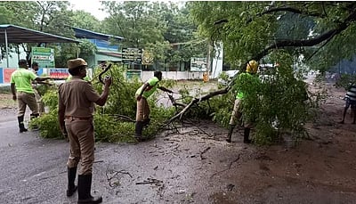 நெல்லை மாவட்டத்தில் தொடர்மழை: பள்ளிகளுக்கு விடுமுறை