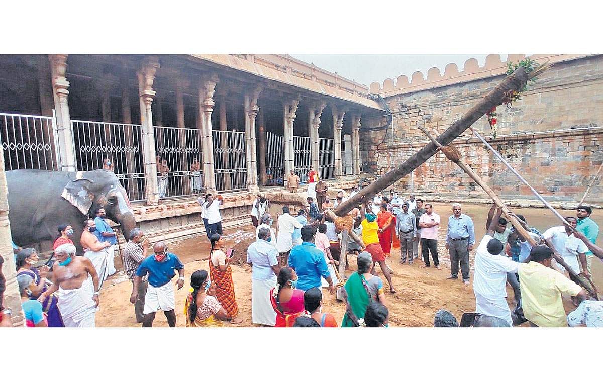 ஸ்ரீரங்கத்தில் வைகுந்த ஏகாதசிக்கு முகூர்த்தக்கால்