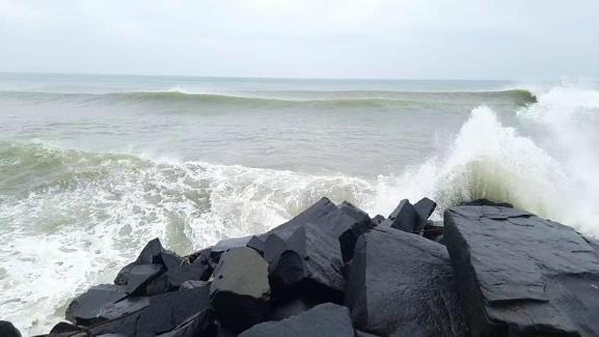 நீலப் பொருளாதாரத்தின் பங்களிப்பு