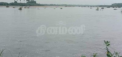 வைகை அணையில் திறக்கப்பட்ட தண்ணீர் மானாமதுரையை கடந்து சென்றது