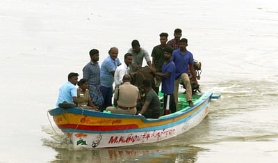 கொள்ளிடம் ஆற்றில் சிக்கிய 26 பசுக்கள் மீட்பு