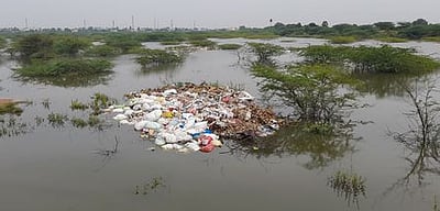 புதுக்கோட்டை மாவட்டத்தில்  நீா்நிலைகளைப் பாதுகாப்பது எப்படி?