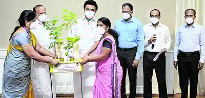 புதிய வேளாண் காடுகள் வளா்ப்புத் திட்டம்: முதல்வா் மு.க.ஸ்டாலின் தொடக்கி வைத்தாா்