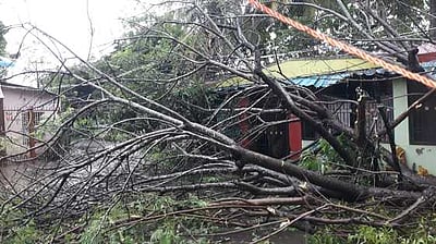 சீா்காழியில் காற்றுடன் பலத்தமழை: மரங்கள் முறிந்து வீடுகள், மின்கம்பங்கள் சேதம்